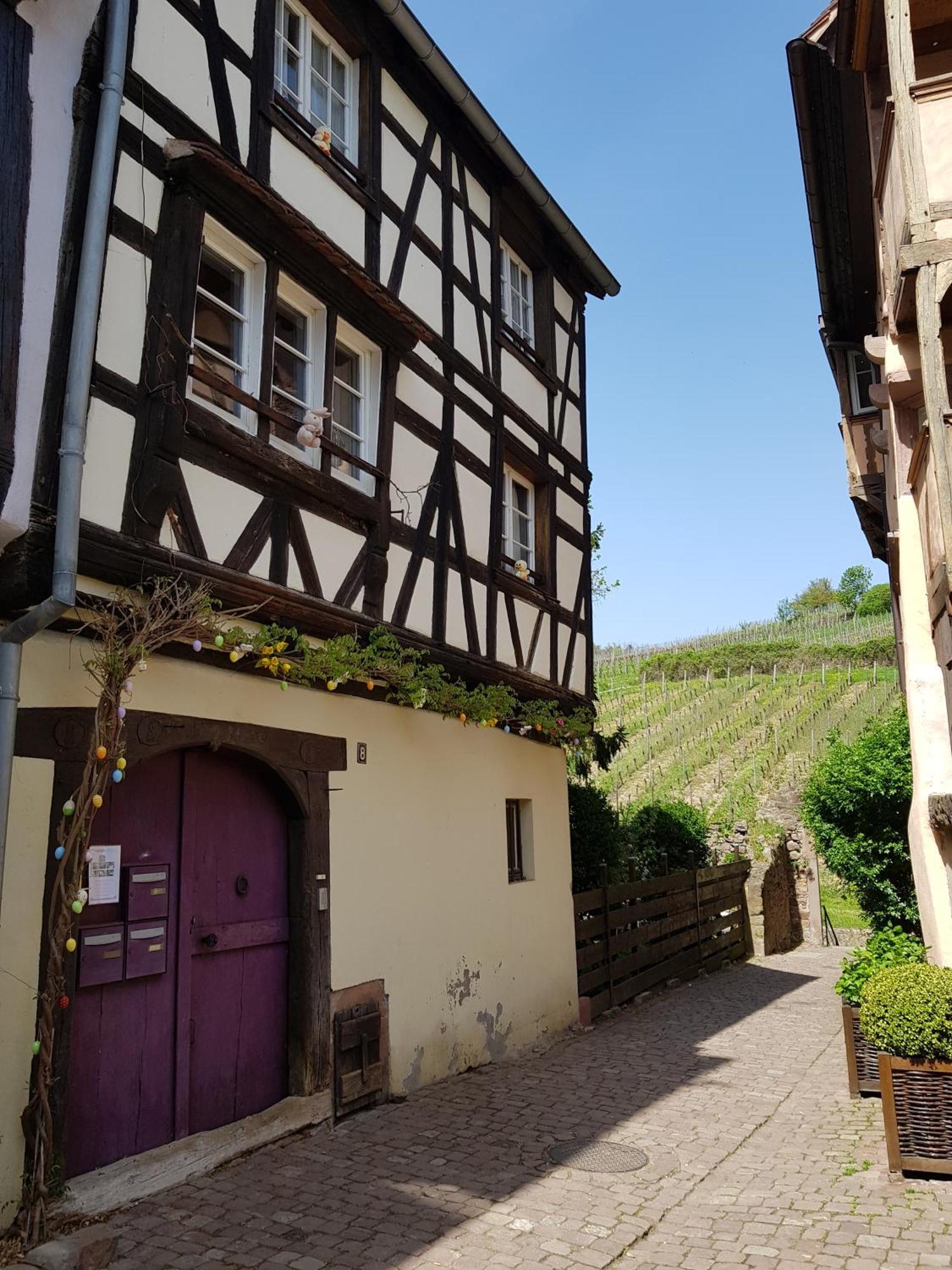 La Maison Vigneronne Riquewihr Exterior foto
