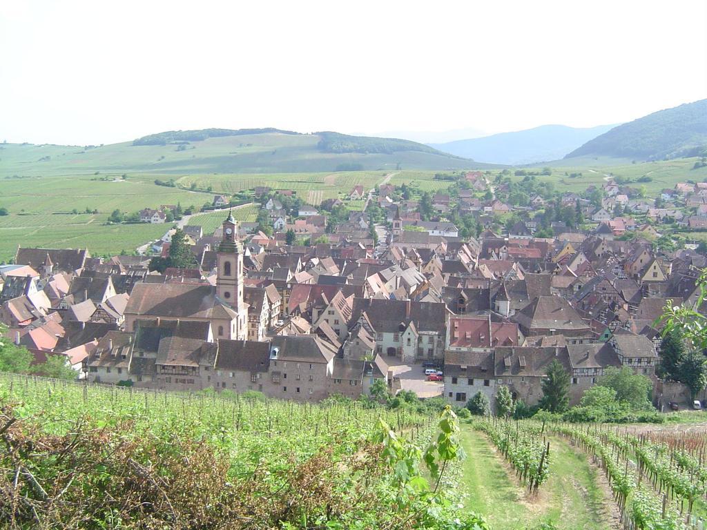 La Maison Vigneronne Riquewihr Habitación foto